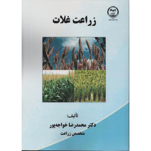 زراعت غلات   خواجه پور