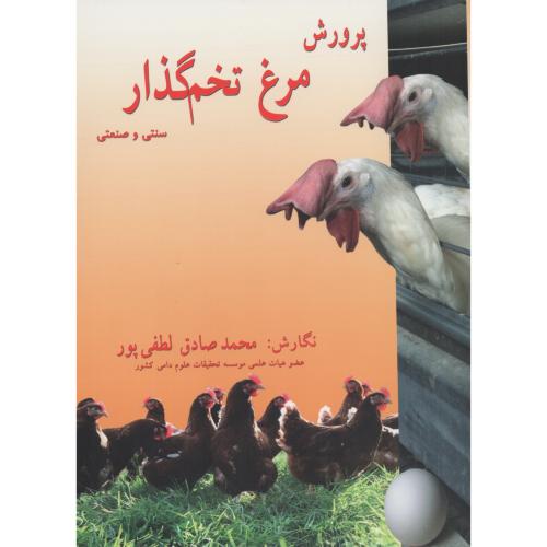 پرورش مرغ تخم گذار سنتی و صنعتی لطفی پور (کاج طلایی)