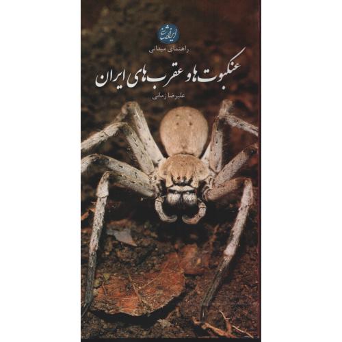راهنمای میدانی عنکبوت ها و عقرب های ایران  (ایران شناسی)