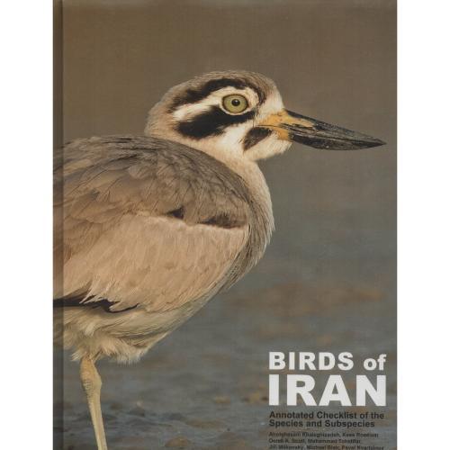 پرندگان ایران  BIRDS OF IRAN