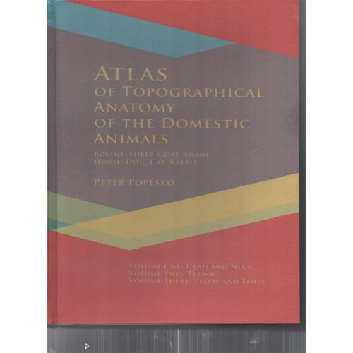 Atlas of Topographical Anatomy  POPESKO  پاپسکو افست