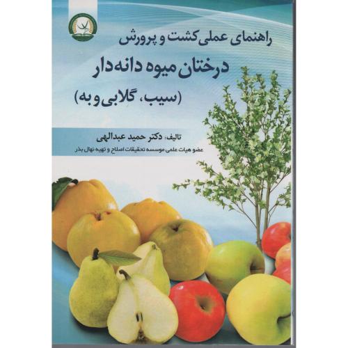 راهنمای عملی کشت درختان میوه دانه دار (سیب گلابی و به)