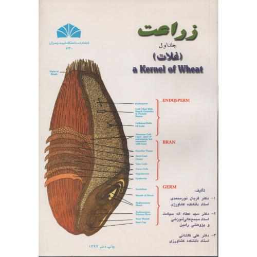 زراعت (غلات)  نورمحمدی  سیادت