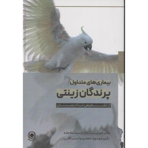 بیماری های متداول پرندگان زینتی  از تشخیص تا درمان