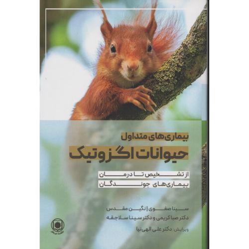 بیماری های متداول حیوانات اگزوتیک از تشخیص تا درمان جوندگان