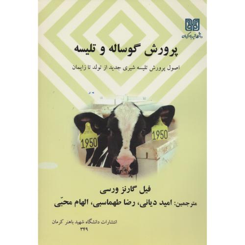 پرورش  گوساله  و تلیسه   دانشگاه باهنر کرمان