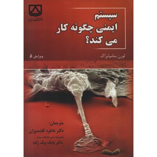 سیستم ایمنی  چگونه کار می کند ؟  دانشگاه سمنان